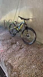 Orbea