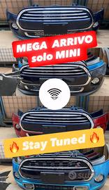 Musata Frontale MINI F55 F56 F57 (pre.ordine)