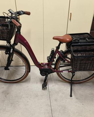 Bici elettrica