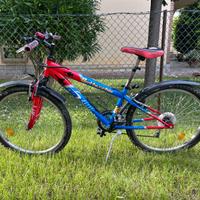 Mountain Bike Bici ragazzo Bottecchia 24"