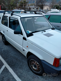 Panda appena revisionata