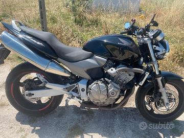 Honda hornet
