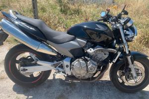 Honda hornet