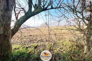 MERLENGO - Terreno Agricolo - 704MER