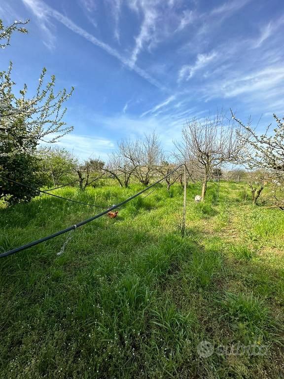 Terreno di 2200 m² a Giugliano in Campania - Vista 4