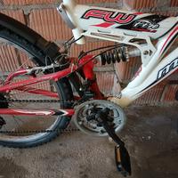 bicicletta 