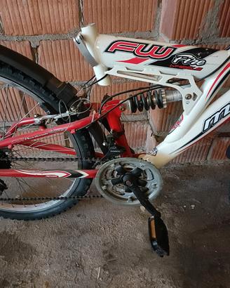 bicicletta 
