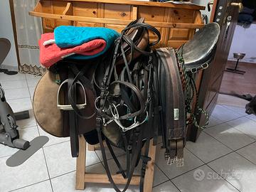 Accessori cavallo in blocco