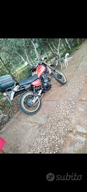 Suzuki500