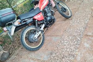 Suzuki500