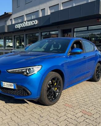 ALFA ROMEO Stelvio 2.2 Turbodiesel 210 CV AT8 Q4