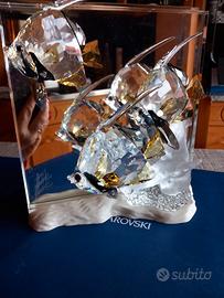 pezzo scs COMMUNITY 2007