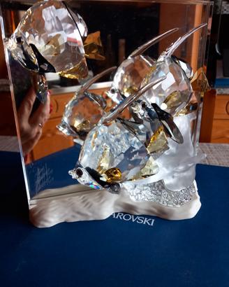 pezzo scs COMMUNITY 2007