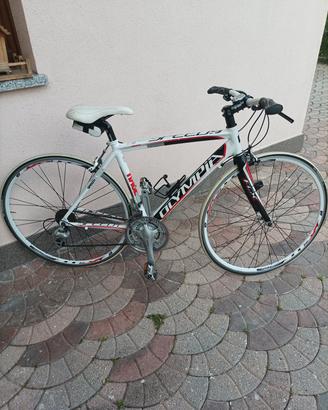 Bicicletta da corsa da donna