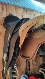 Sella equitazione
