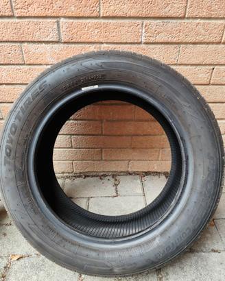 Gomme estive