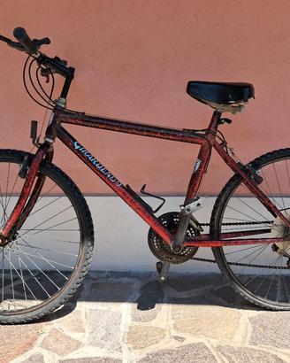 Mountain Bike Girardengo