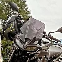 Cupolino Yamaha Mt09 2017-2020