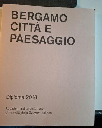 BERGAMO CITTA' E PAESAGGIO