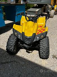 Quad 50cc Dinli 502