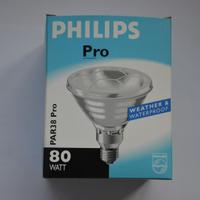 Lampadine per uso esterno 80W E27