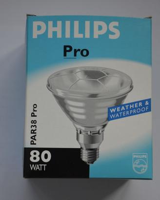 Lampadine per uso esterno 80W E27