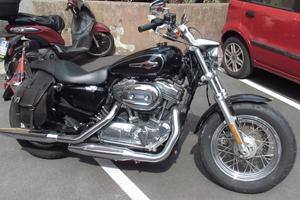 HARLEY DAVIDSON SPORTSTER 1200 XL CUSTOM