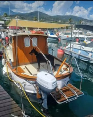 Pilotina Naticart senza patente 