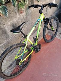 bici rockrider 24