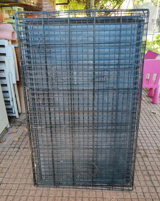 box per cane taglia media 