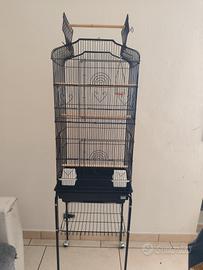 gabbia uccelli pappagalli 