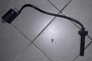 Bobbina accensione lunga yamaha tdm 900 '06