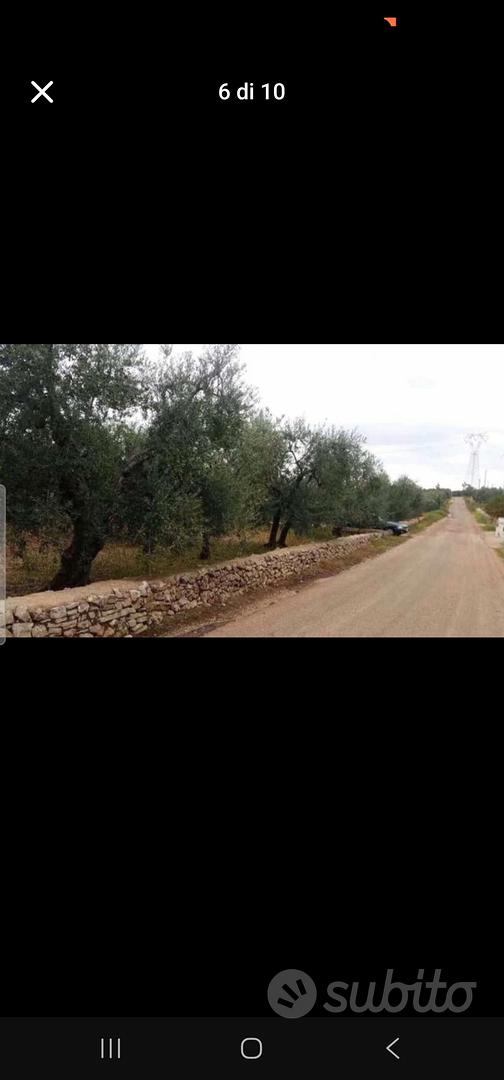 terreno agricolo - Altro