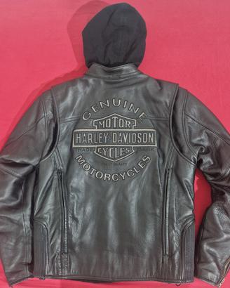 Giacca pelle Harley-Davidson 