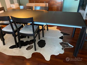 Tavolo della sala elegante allungabile con 6 sedie