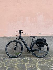 E-BIKE TENWAYS CGO800S