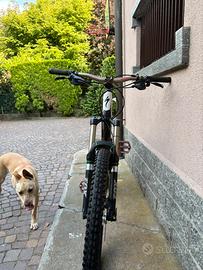 Mtb specialized ful carbon