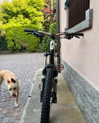 Mtb specialized ful carbon