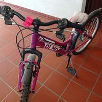 Mountain bike ragazza misura 26 Olmo