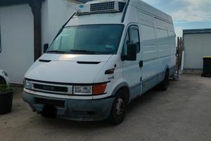 IVECO 35C13 CON CELLA FRIGO 