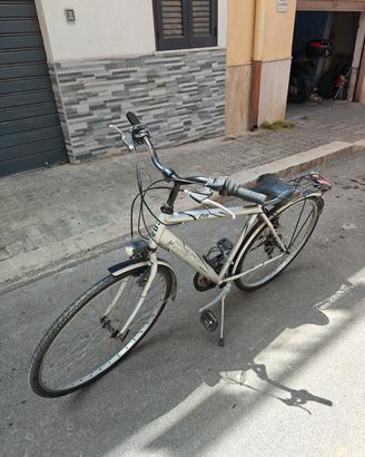 Bicicletta Cosentino 26'' con marce da passeggio 