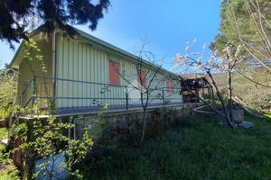 VILLA SINGOLA A MONREALE