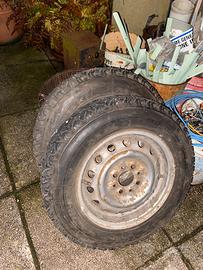 Gomme panda chiodate