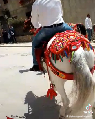 Finimenti Siciliani
