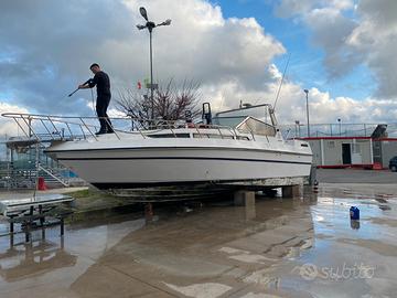 Imbarcazione gobbi 31