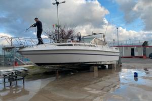 Imbarcazione gobbi 31