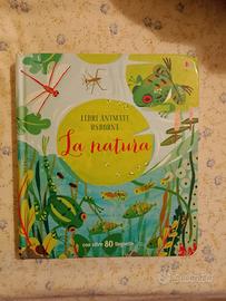 Libro cartonato con finestrelle 