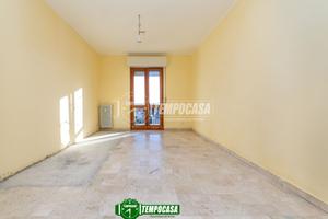 LIBERO SUBITO: 3 LOCALI CON CANTINA!