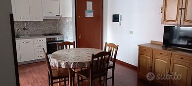 Ultime disponibilità SERAPO