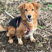 MINDY, dolcissima e super affettuosa